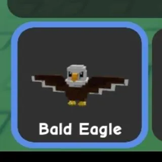 bald eagle on gag2