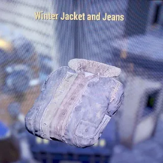Winter Jacket And Jeans