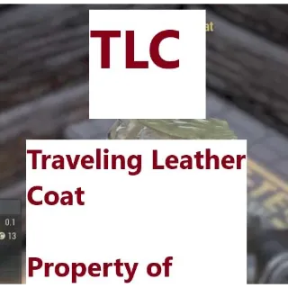 Traveling Leather coat