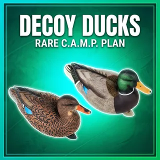 DECOY DUCKS [PLAN]