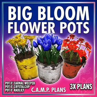 BIG BLOOM FLOWER POTS [PLANS]