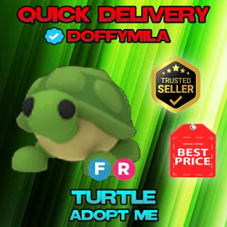 FR TURTLE