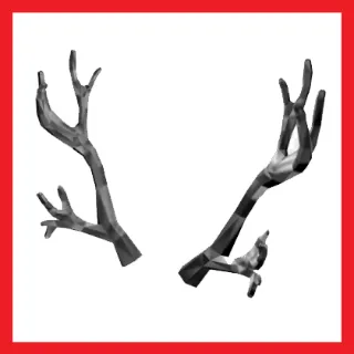 Limited Silverthorn Antlers