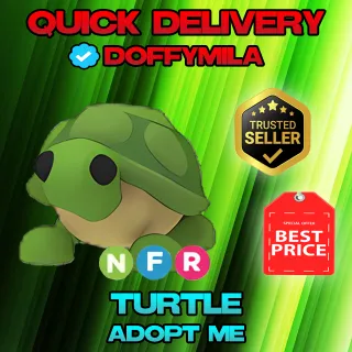 NFR TURTLE