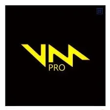 Voicemod PRO - 1 month