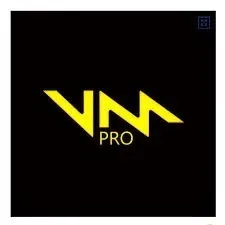 Voicemod PRO - 1 month