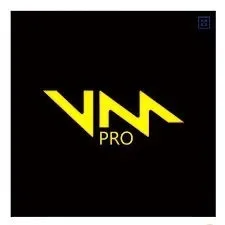 Voicemod PRO - 1 month