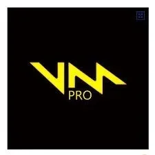 Voicemod PRO - 1 month