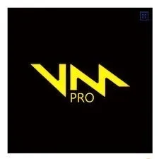 Voicemod PRO - 1 month