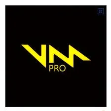 Voicemod PRO - 1 month