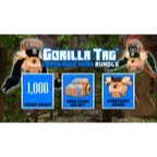 GORILLA TAG: Cardboard Hero Bundle  [Meta Quest key]
