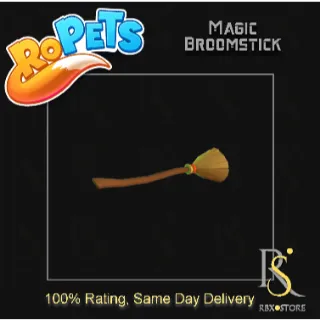 Magic Broomstick | 2021 Halloween