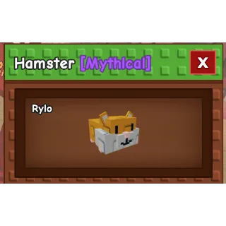 6x Hamster