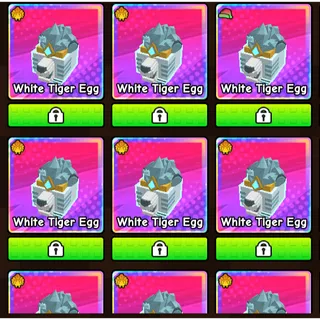 15x TG/XMAS WHITE TIGER EGGS | BUILD A ZOO