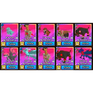 10X 1M/S DIVINE PETS | BUILD A ZOO