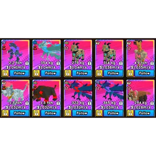 10X 1M/S DIVINE PETS | BUILD A ZOO