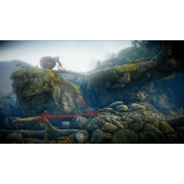 รายการภาพถ่าย