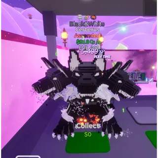 🔥 BLACK&WHITE ASCENDED CERBERUS 918Qi/s LVL MAX | 3T⚡FAST DELIVERY 🚀 GO UP FOR BRAINROTS FORTNITE