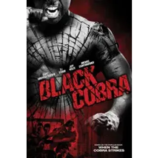 Black Cobra HD Fandango / Auto Delivery 