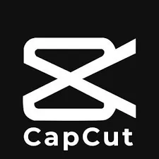 capcut pro 12 months  Full warranty  in your account 