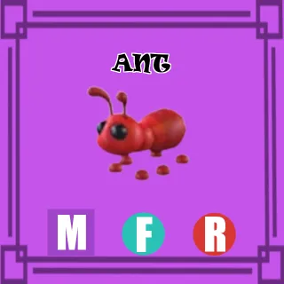 MFR ANT