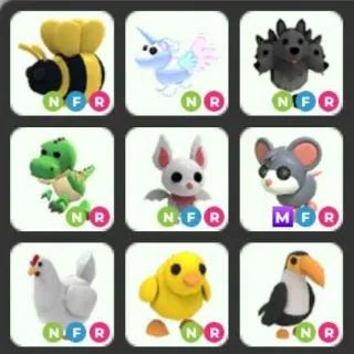 pets  9x Neon and mega