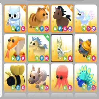 pets 47x