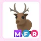 Reindeer mfr