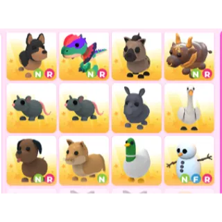 BUNDLE PETS 24x