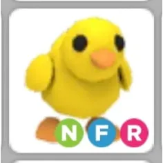 CHICK NFR