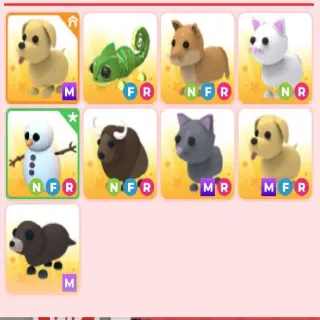 pets 9x neon and mega