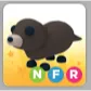 Otter NFR