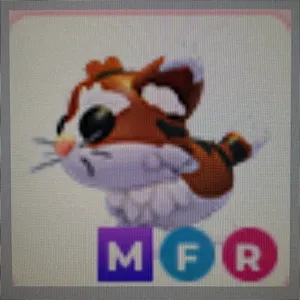 MFR Munchkin Cat