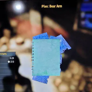 Plan | 5 Bear Arm Plans