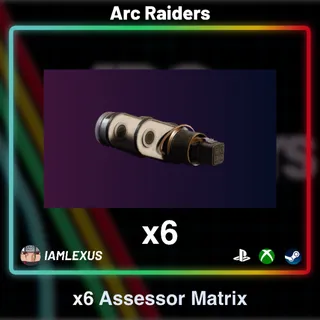 6x Assessor Matrix - Arc Raiders
