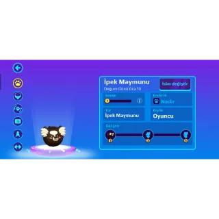 Pk xd Marmoset perfect