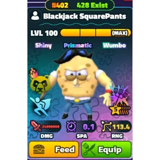 MAX LVL BLACKJACK SW/NC/HS 5 STARS