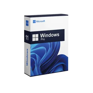  Windows 11 pro