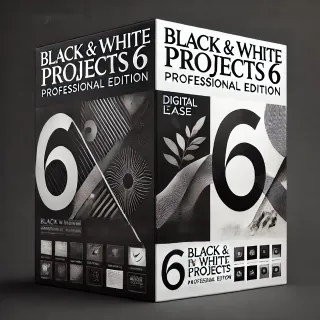 Black & White projects 6 Professional Edition