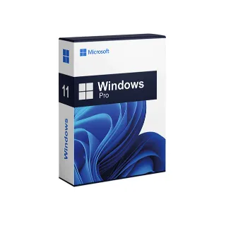  Windows 11 pro