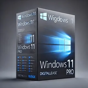  Windows 11 pro