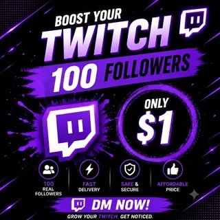 100 Instagram Followers