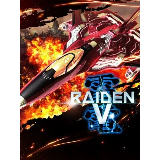 Raiden V⚡AUTOMATIC DELIVERY⚡