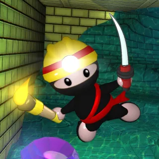 Super Ninja Miner