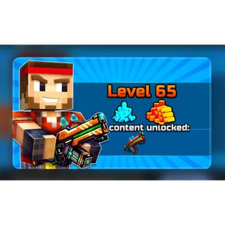 Pixel Gun 3D | Any Levels 1 - 65 Added | Fast Delivery