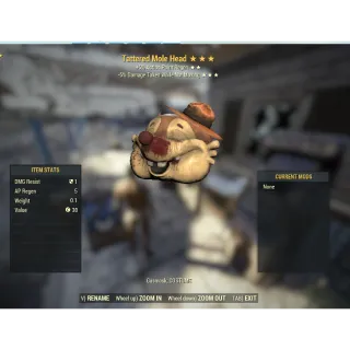 Tattered Mole Head (Sentinel/AP)