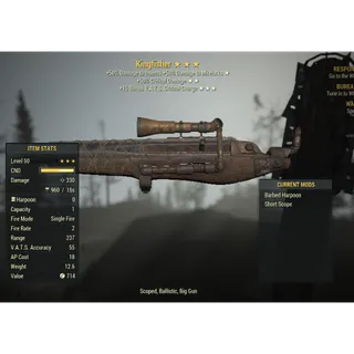 ( Xbox ) Kingfisher