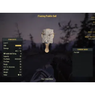 ( Xbox ) Flaming Paddle Ball (Collectors Item)