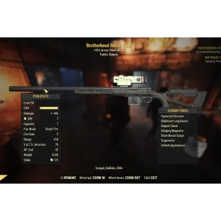 Brotherhood Recon Rifle (Collectors)