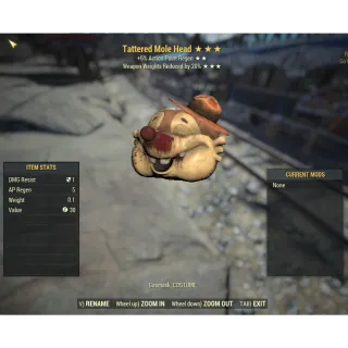 Tattered Mole Head (AP/WWR)